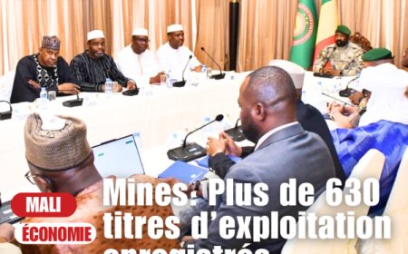 Cadastre minier malien : Plus de 630 titres d’exploitation enregistrés