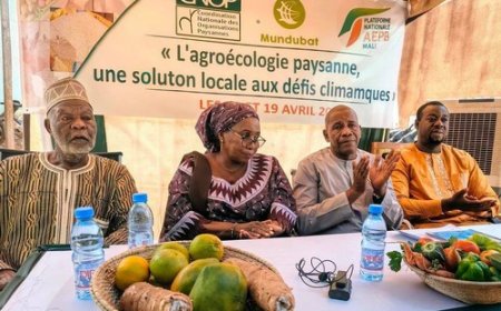 CNOP Mali : un « week-end bio » pour garantir une alimentation saine aux Bamakois