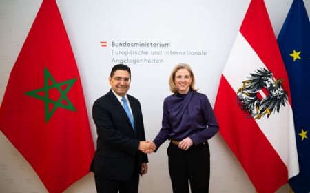 Sahara marocain L’Autriche soutient la résolution 2797 du Conseil de sécurité