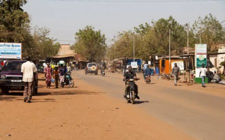 Chronique : Rude impatience