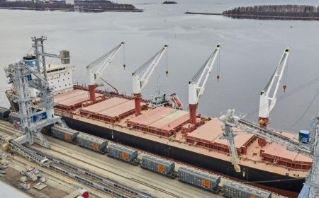 La Russie envoie 770 tonnes de pois au Mali dans le cadre d’une aide humanitaire