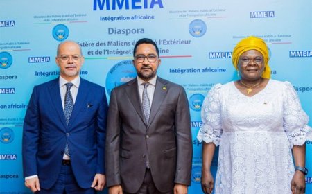 Semaine nationale de l'intégration africaine : Le Groupe des ambassadeurs africains chez le ministre Mossa Ag Attaher
