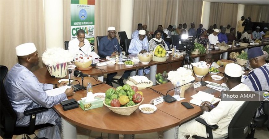 Campagne agricole 2025 : Des résultats encourageants, malgré un contexte difficile