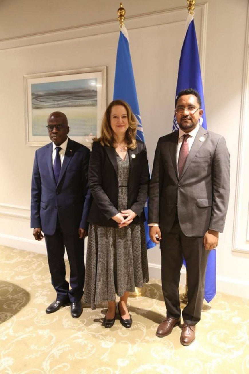 Migration : le Mali renforce sa position au Caire lors d’une rencontre ministérielle africaine