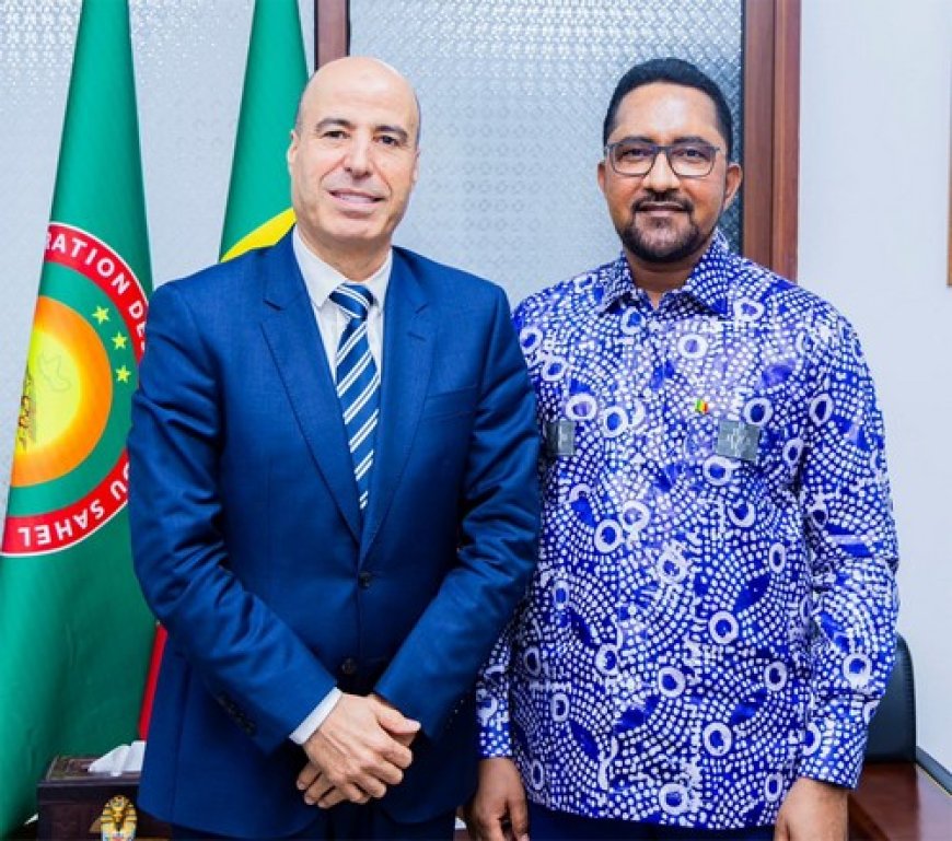 Diaspora :  Le ministère et Moov Africa Malitel unissent leurs efforts