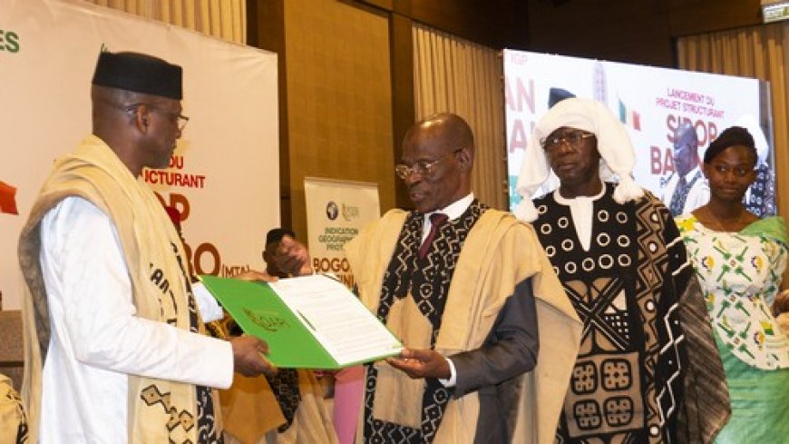 Artisanat : le Bogolan du Mali désormais protégé en indication géographique par l’OAPI