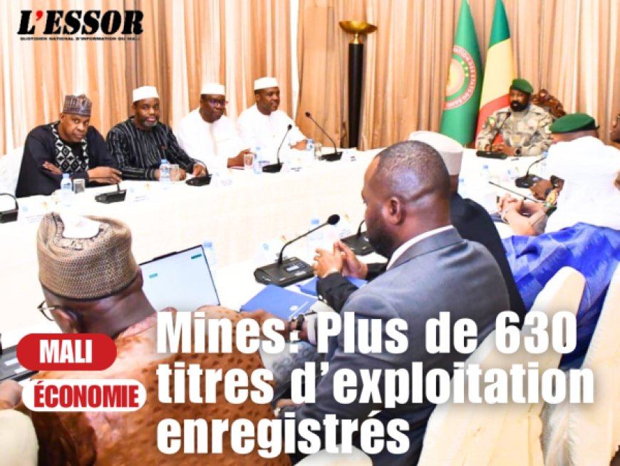 Cadastre minier malien : Plus de 630 titres d’exploitation enregistrés