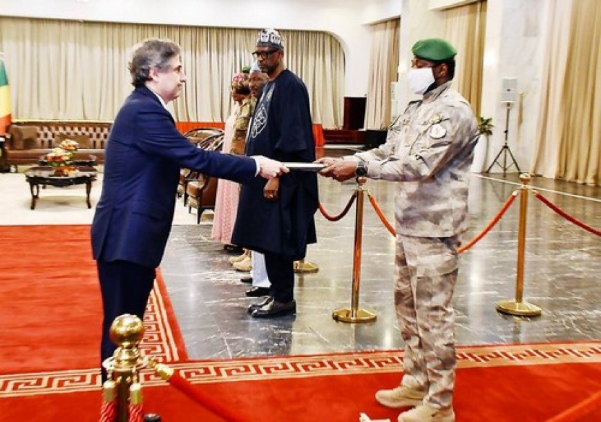 Communiqué de presse / Union Européenne : Délégation au Mali