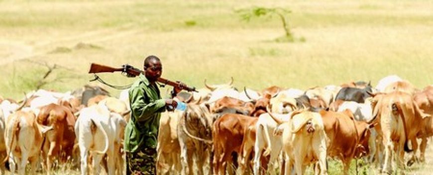 Agriculteurs et éleveurs à Gounzoureye : Quand le dialogue coutumier devient une solution durable