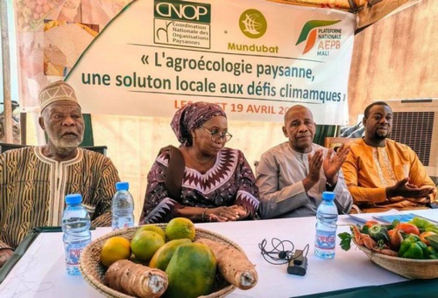 CNOP Mali : un « week-end bio » pour garantir une alimentation saine aux Bamakois