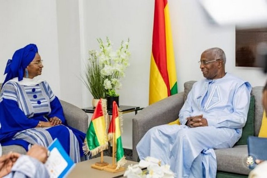Oumou Sall Seck reçue par le PM guinéen