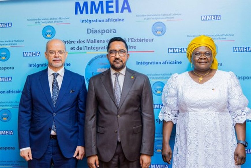 Semaine nationale de l'intégration africaine : Le Groupe des ambassadeurs africains chez le ministre Mossa Ag Attaher