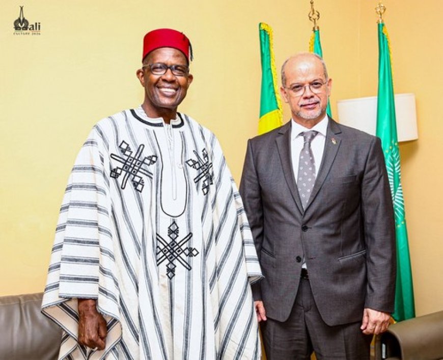 Coopération Mali-Maroc : L'ambassadeur Driss Isbayène reçu par le ministre Daffé