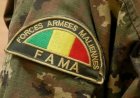 Mali : Les FAMa mènent des frappes contre des groupes armés terroristes à Gao