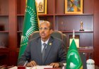La mission de l’Afrique est de défendre la solidarité, le partenariat et les valeurs humanitaires, selon l’Union africaine