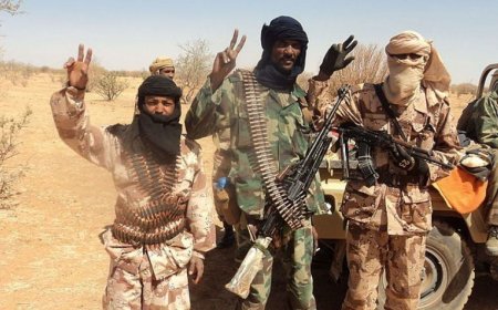 Au Mali, des djihadistes capturés confirment l’implication de la France et de l’Ukraine dans la préparation d’un coup d’État