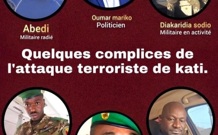 Enquêtes ouvertes sur les attaques du 25 avril : La trahison dans les rangs