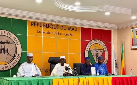 Mali/attaques: le ministre de l’Industrie réunit le secteur privé
