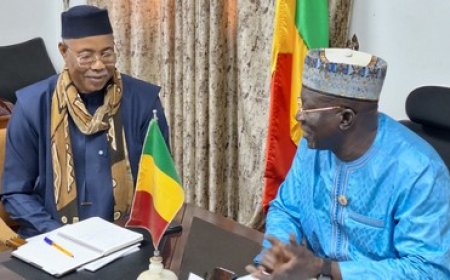 Développement  de l’Agro-industrie : Yacouba KATILLE reçoit le nouveau PDG de l’Office du Niger