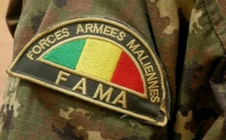 Mali : Les FAMa mènent des frappes contre des groupes armés terroristes à Gao