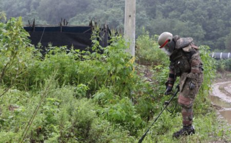 Sénégal : les autorités préparent la reprise du déminage en Casamance