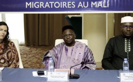Maliens établis à l’Extérieur : Le gouvernement renforce le système national des données migratoires