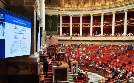 Les députés français abrogent le Code noir, 178 ans après l'abolition de l'esclavage