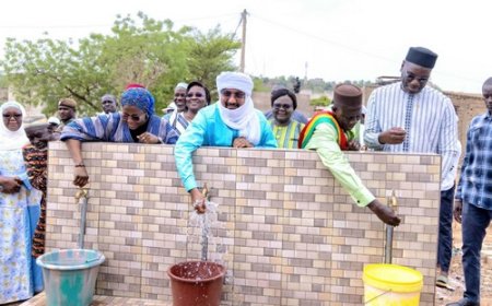 Semaine nationale de l'intégration africaine: un forage solaire inauguré pour soulager les populations de Lassa
