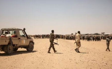 Les États-Unis ont remis du matériel militaire à l'armée du Niger
