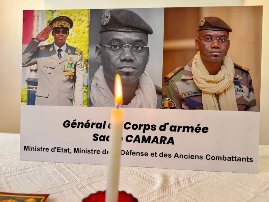 Des milliers de personnes ont défilé à Paris en signe de solidarité avec le Mali