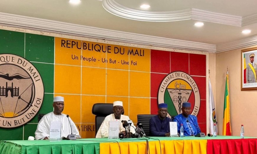 Mali/attaques: le ministre de l’Industrie réunit le secteur privé