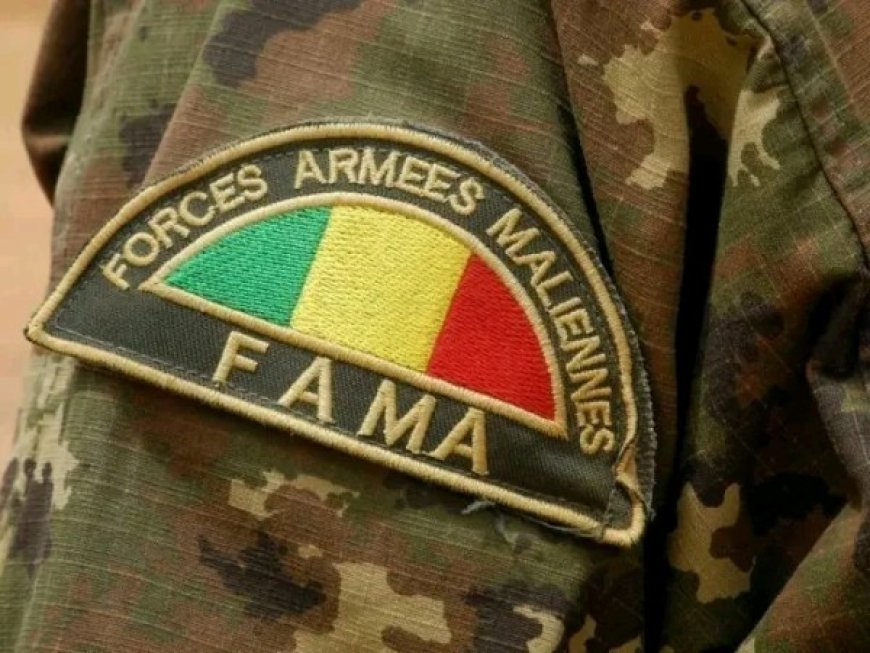Mali : Les FAMa mènent des frappes contre des groupes armés terroristes à Gao