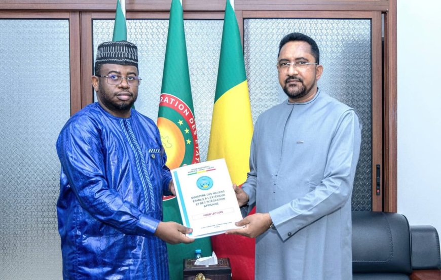 Mali–BAD : Mossa Ag Attaher mise sur la diaspora et l’emploi des jeunes pour accélérer le développement