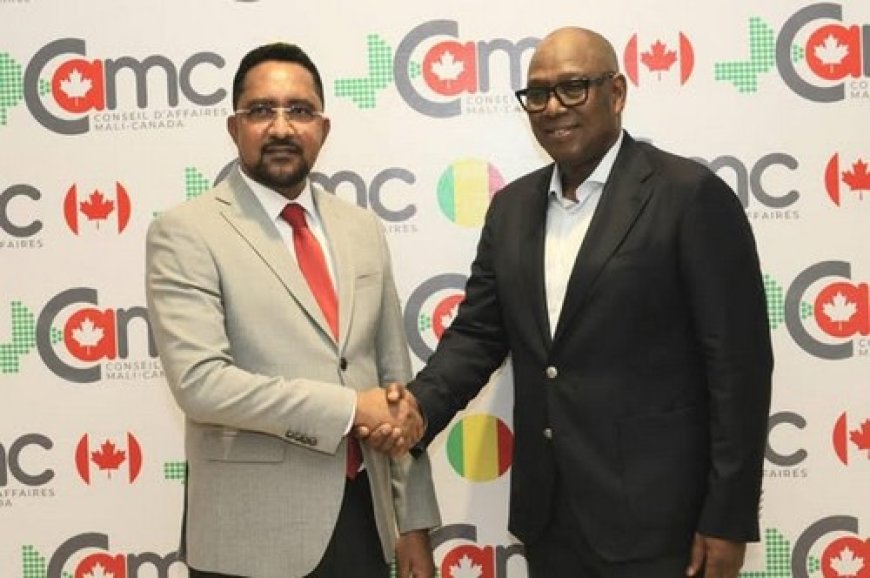 Le ministre Mossa Ag Attaher au lancement du conseil d'affaires Mali-Canada : "Ce Conseil d'Affaires a vocation  à devenir un véritable catalyseur pour les acteurs économiques maliens et canadiens"
