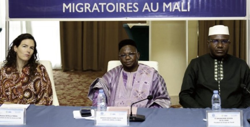 Maliens établis à l’Extérieur : Le gouvernement renforce le système national des données migratoires