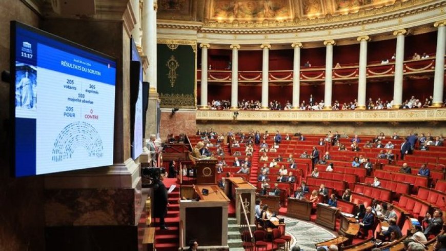 Les députés français abrogent le Code noir, 178 ans après l'abolition de l'esclavage