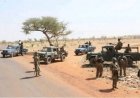 Opération « Dougoukoloko » : L’État sanctuarise 39 massifs forestiers