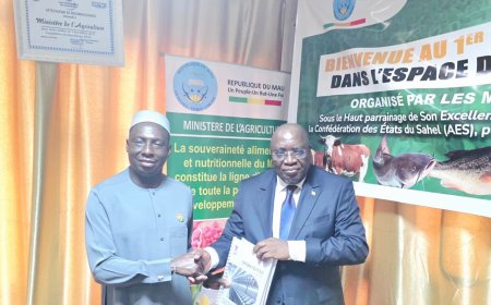 Agriculture : le Mali et l’UEMOA misent sur 6 000 milliards FCFA pour booster les filières riz, coton et engrais