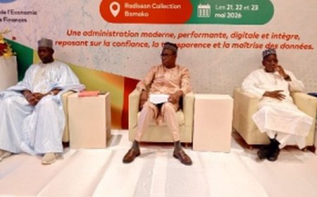 Administration fiscale DGI :  La DGI se digitalise