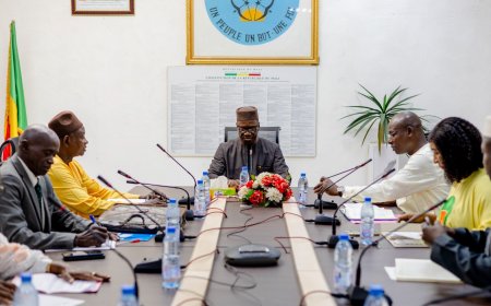 Gouvernance et développement local : le ministre Issa Ousmane Coulibaly renforce le dialogue avec ses partenaires stratégiques
