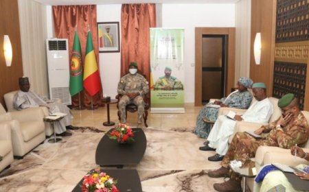 Mali : Le Chef de l’Etat échange avec le secrétaire exécutif de l’Agence panafricaine de la Grande Muraille Verte