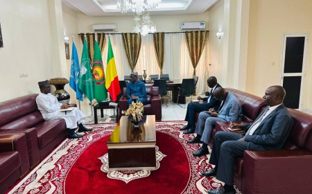 Grande Muraille Verte : Abdoulaye Diop et l’APGMV misent sur les réformes et le financement pour accélérer l’initiative