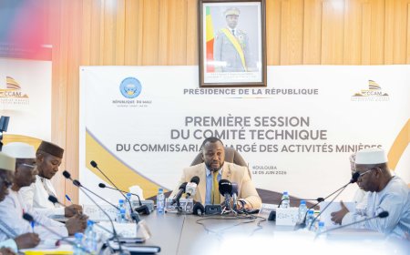 CCAM : première session du Comité technique sous le signe de la souveraineté minière