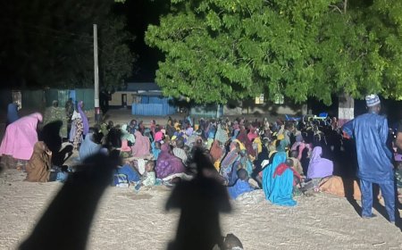 Nigéria : 360 otages libérés à Borno (armée)