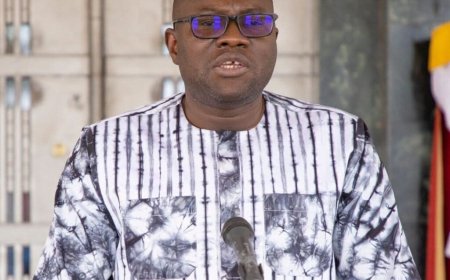 Burkina/Diaspora Bond : plus de 151 milliards FCFA mobilisés