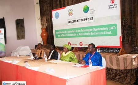 Agriculture intelligente :  Le projet IAAT lancé pour renforcer la sécurité alimentaire et la résilience climatique dans sept régions