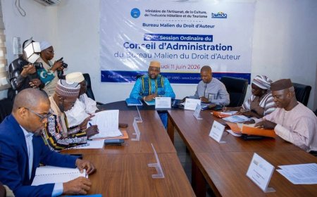 50ᵉ session du Conseil d’administration du BUMDA : des performances solides et des perspectives prometteuses pour les créateurs
