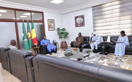 Forum international de la diaspora 2026 : Mossa Ag Attaher mobilise le secteur privé autour du développement du Mali