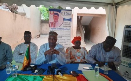 Contribution de la Diaspora : Le CSDM lance un programme ambitieux