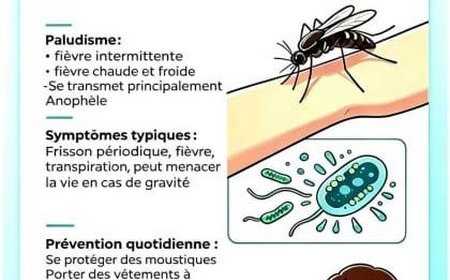 Paludisme : Que savez-vous des méthodes de dépistage et des mesures de prévention ?